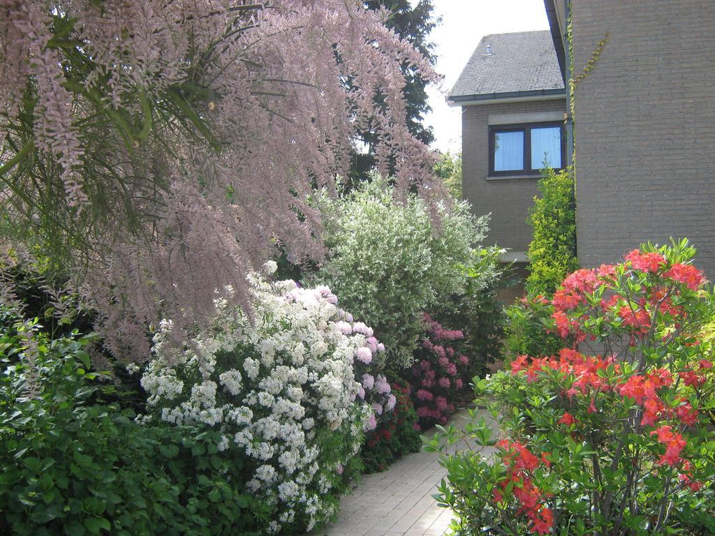 Prince D'Orange Bed & Breakfast Braine-l'Alleud Luaran gambar